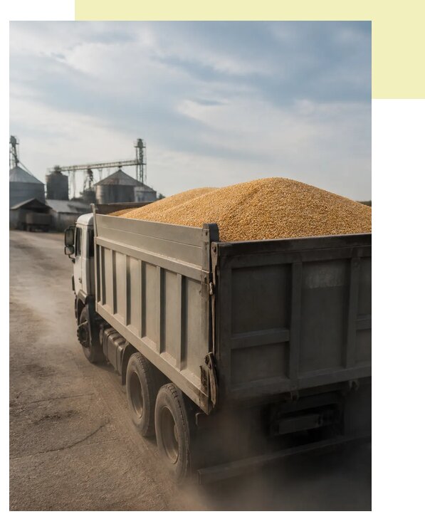 Перевозка сельхозпродукции навалом в Лянтор по цене от 3071 р. | Агросервис-Лнт